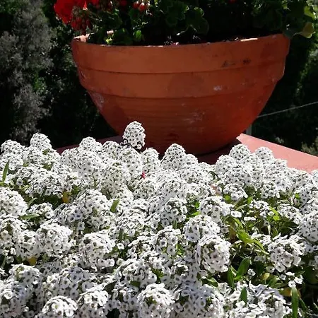 Marina's Апартаменты *