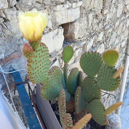 Апартаменты Marina's